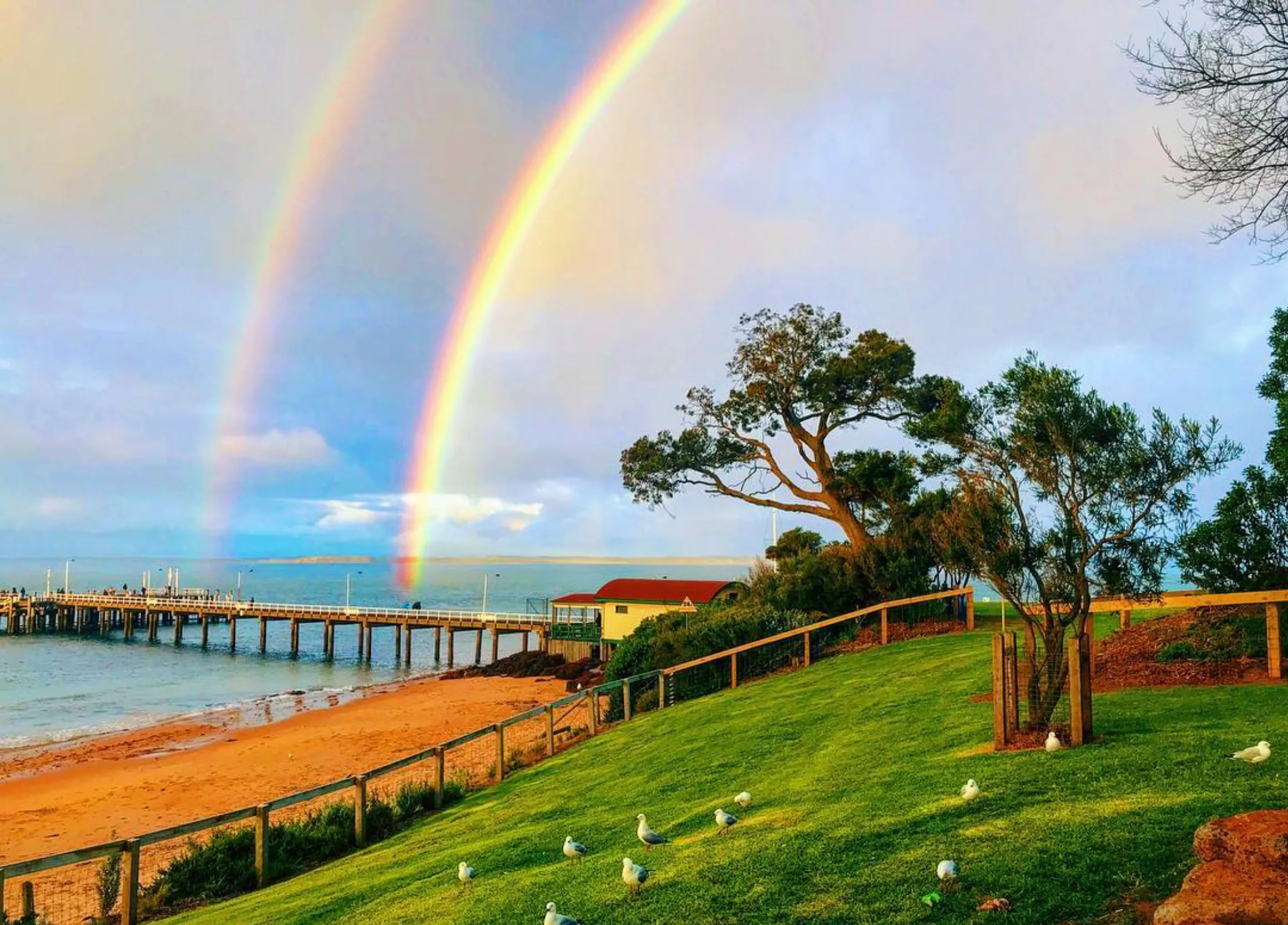 family memoirs, Phillip Island